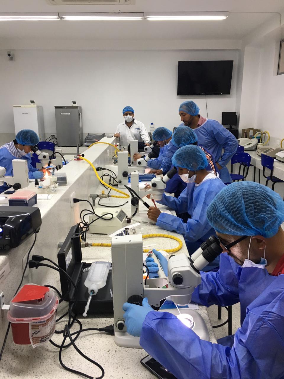 laboratorio
