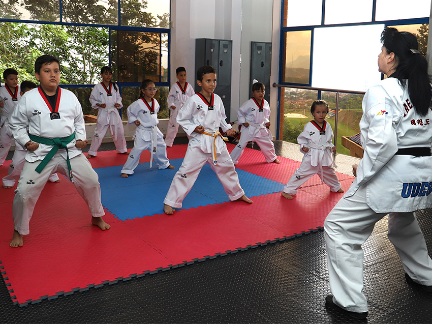 pt taekwondo infantil