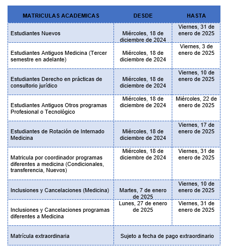 matricula academica 2025 A