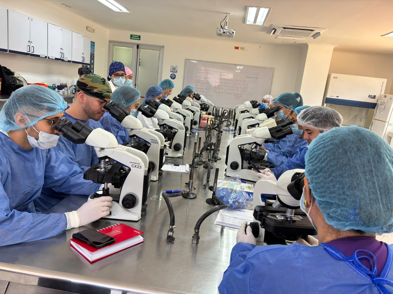 Imagen de WhatsApp 2025 10 27 a las 17.24.35 e7a85696