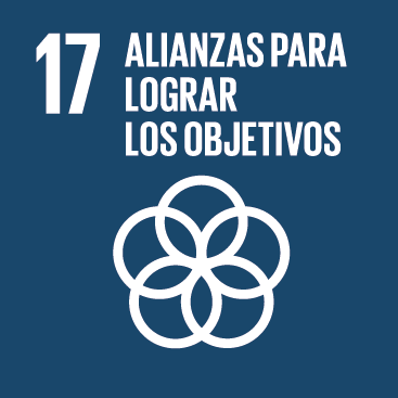 Objetivos_desarrollo_sostenible-educonai-17.png