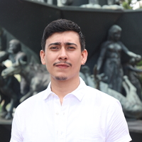 Sergio David Dominguez Mogollón 