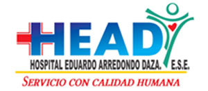 Logo HEAD