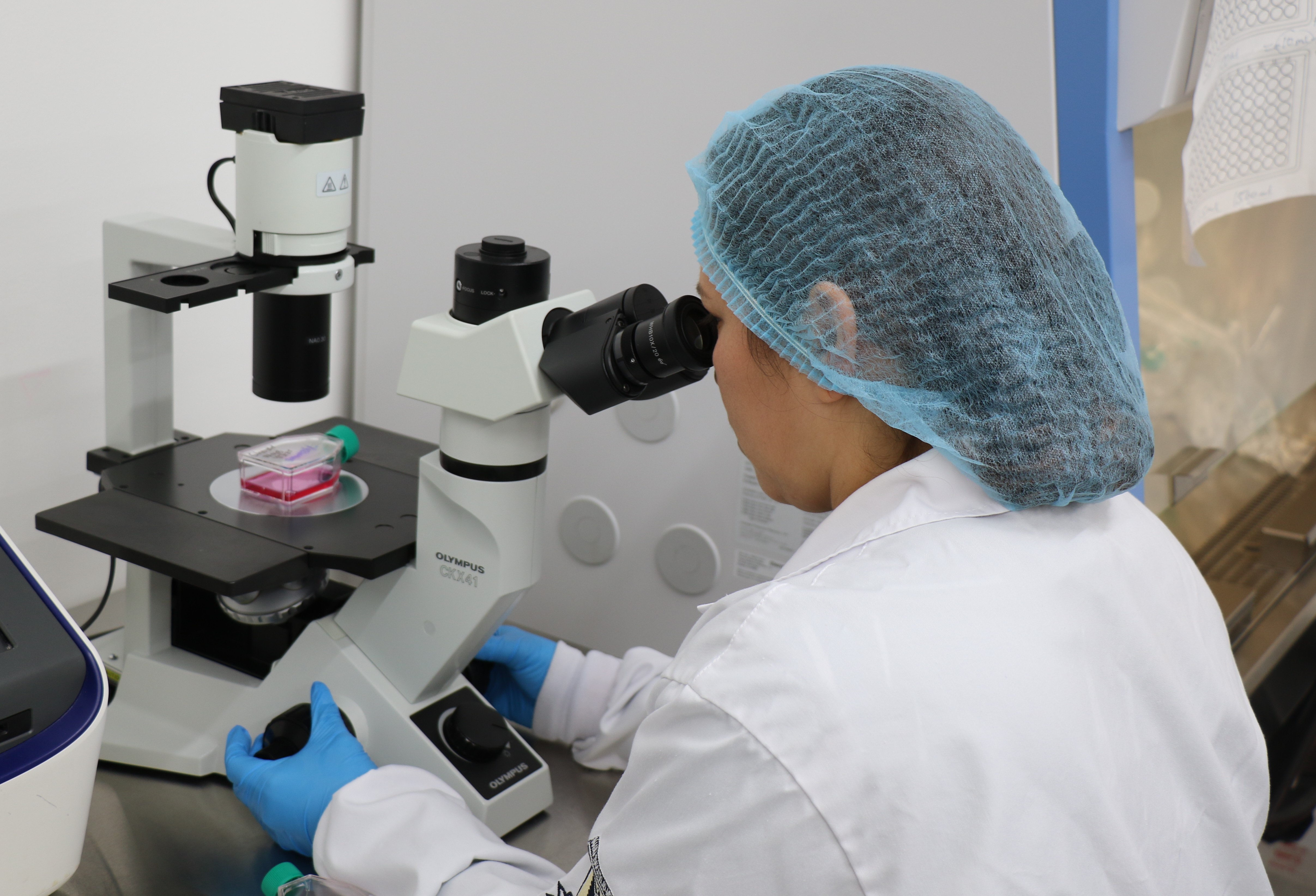 investigacion curcuma cancer udes