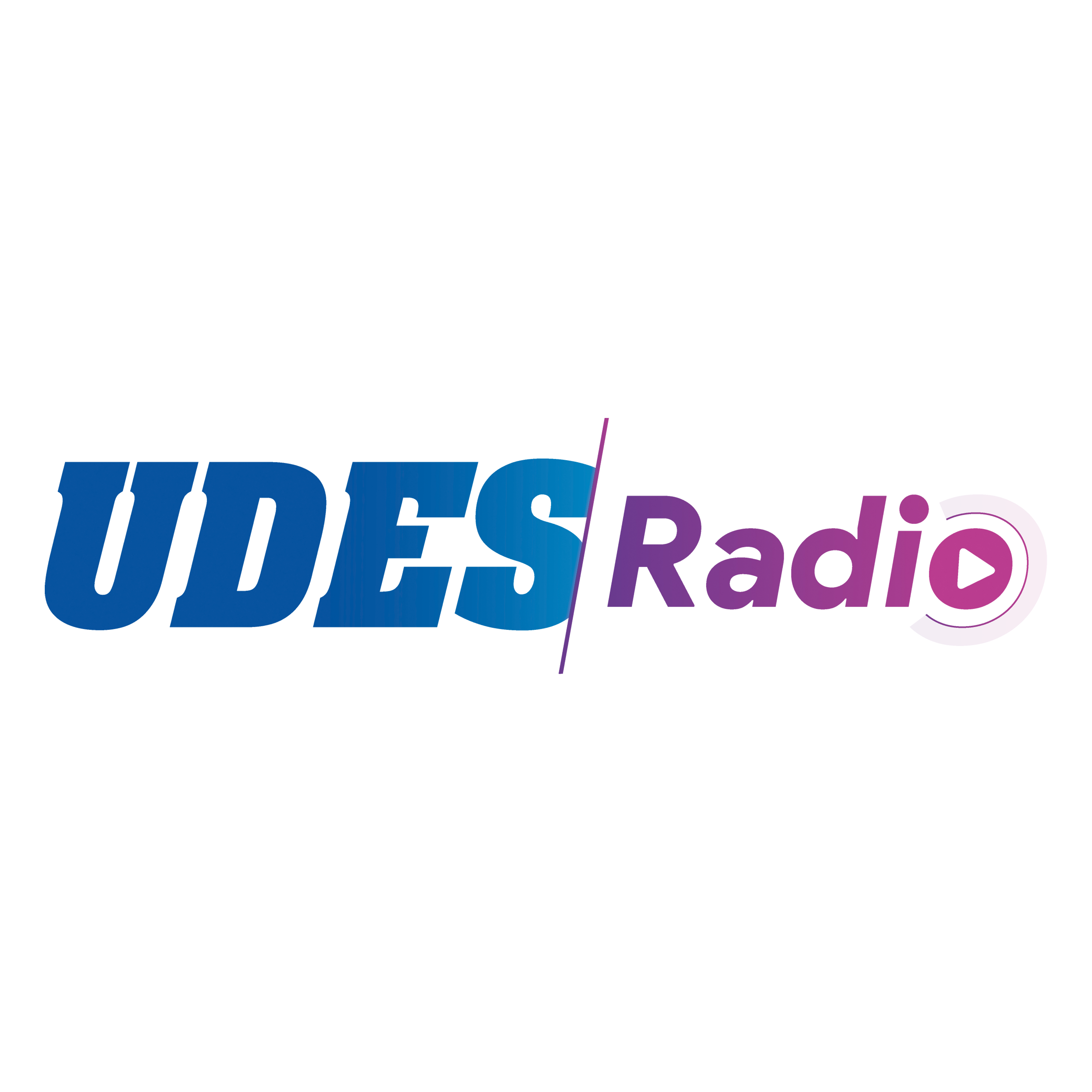 Logo de RADIO UDES