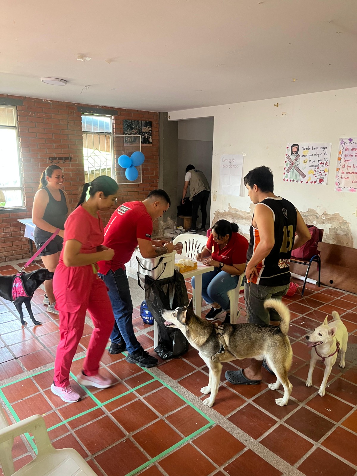 mascotas udes maquilando felicidad piedecuesta