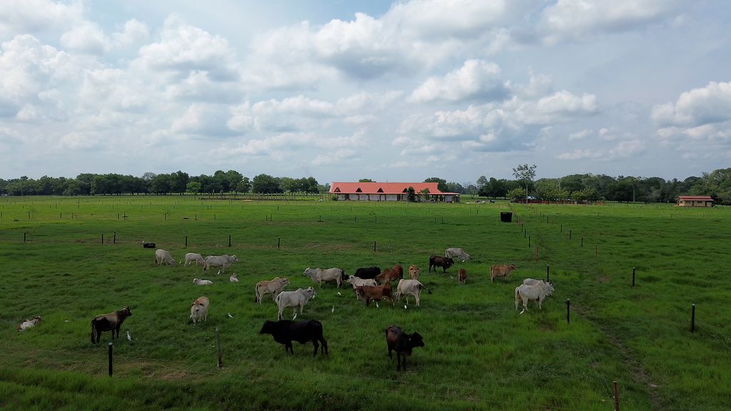 Agricultura tecnológica