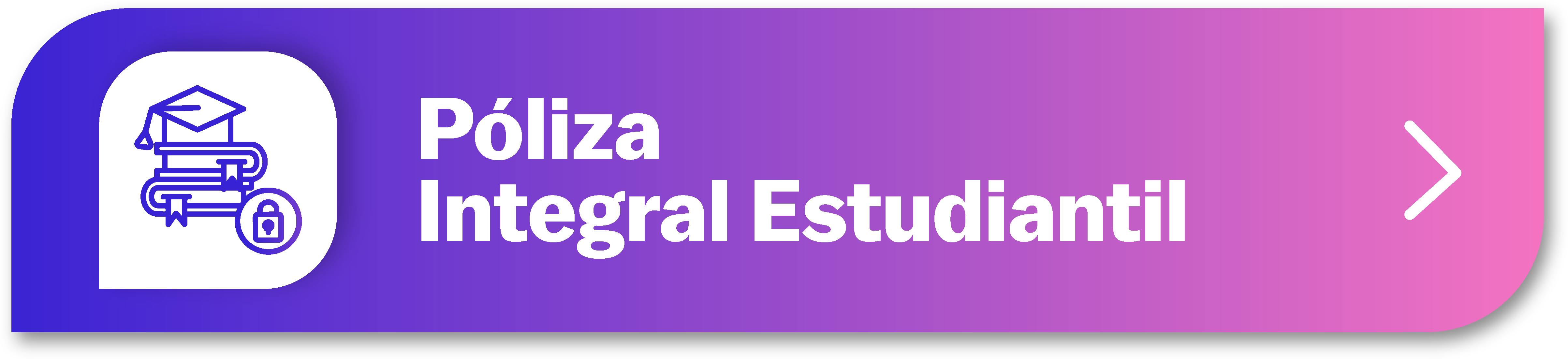 Entidades