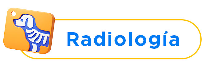 Radiología