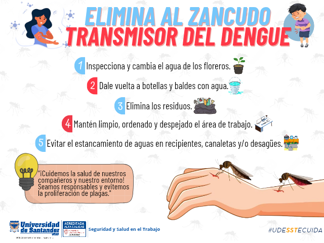elimina-el-dengue.png