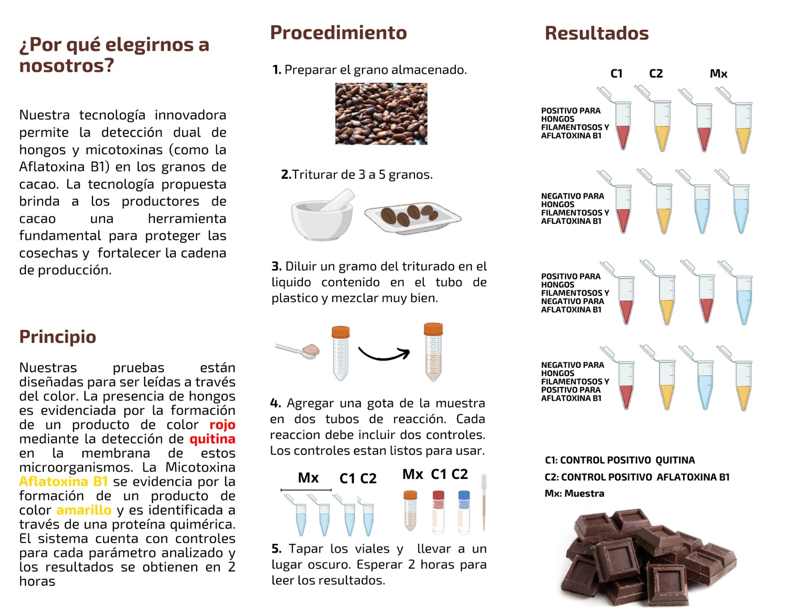 pruebas tamizaje cacao hongos