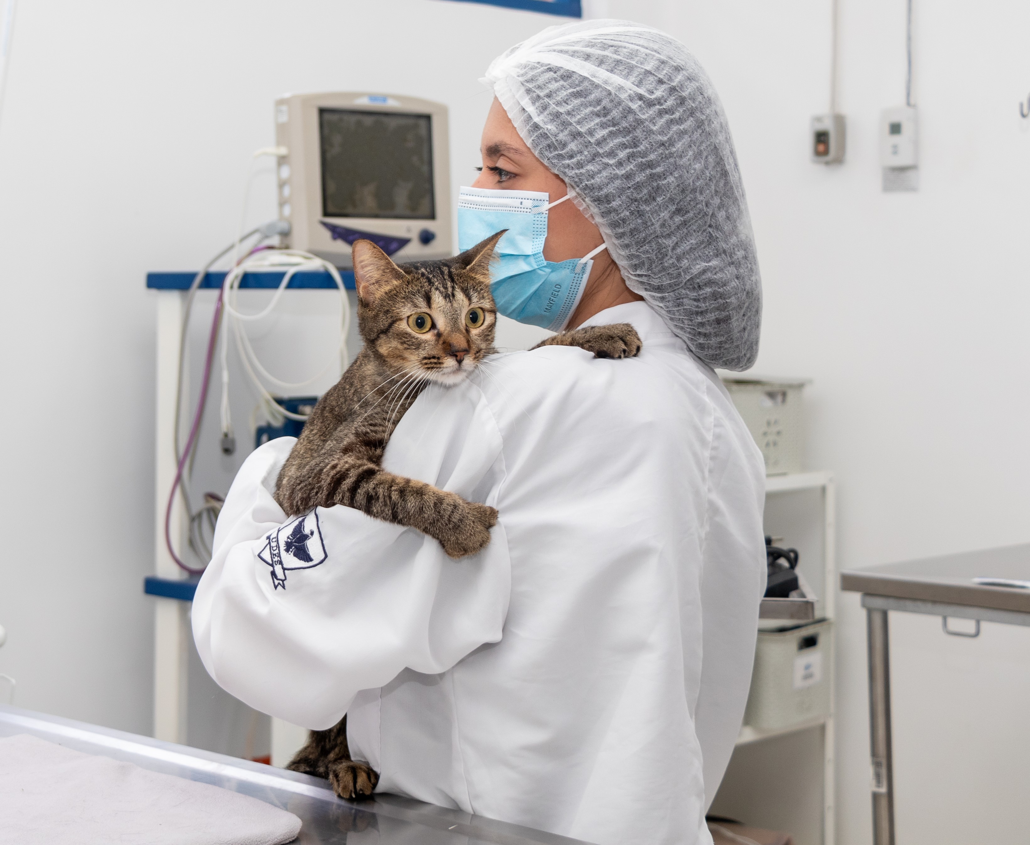 udes medicina veterinaria bucaramanga