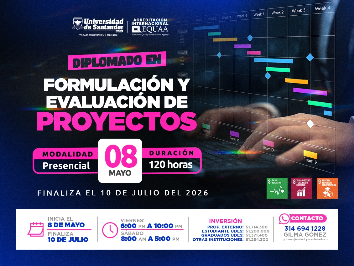 Diplomado en Formulación y Evaluación de Proyectos