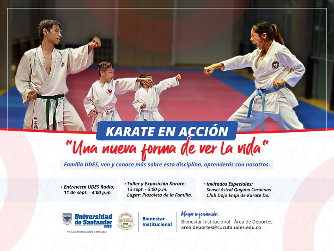 Karate en Acción