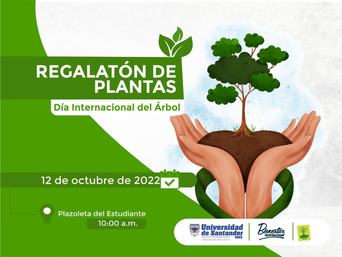 Regalatón de Plantas Día Internacional del Árbol