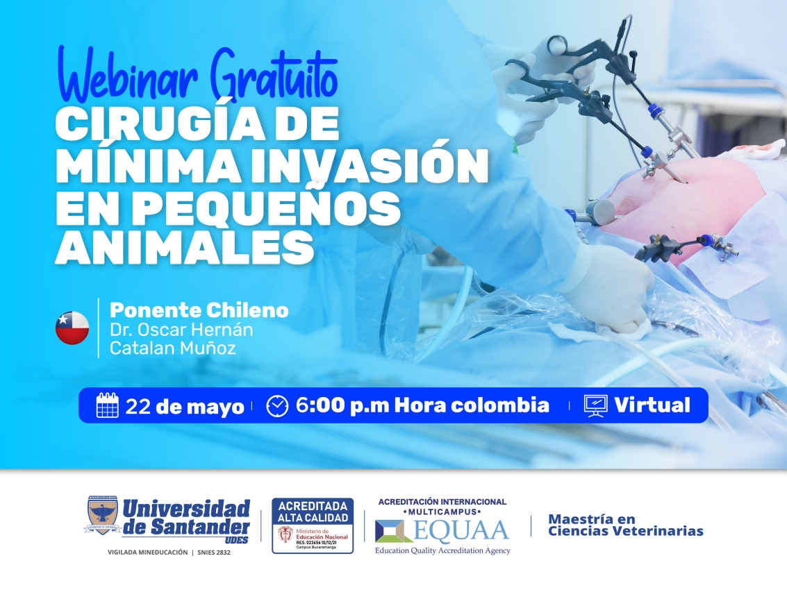  Webinar Cirugía de mínima invasión en pequeños animales