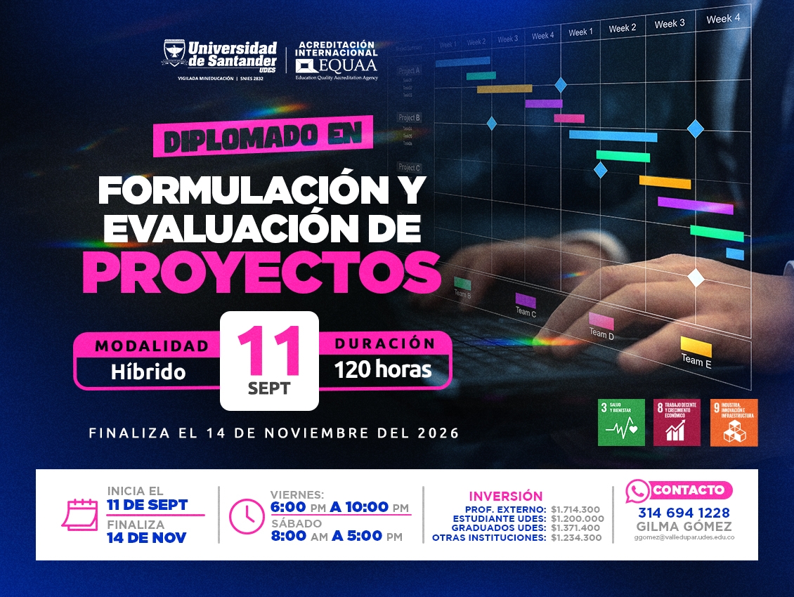 Diplomado en Formulación y Evaluación de Proyectos