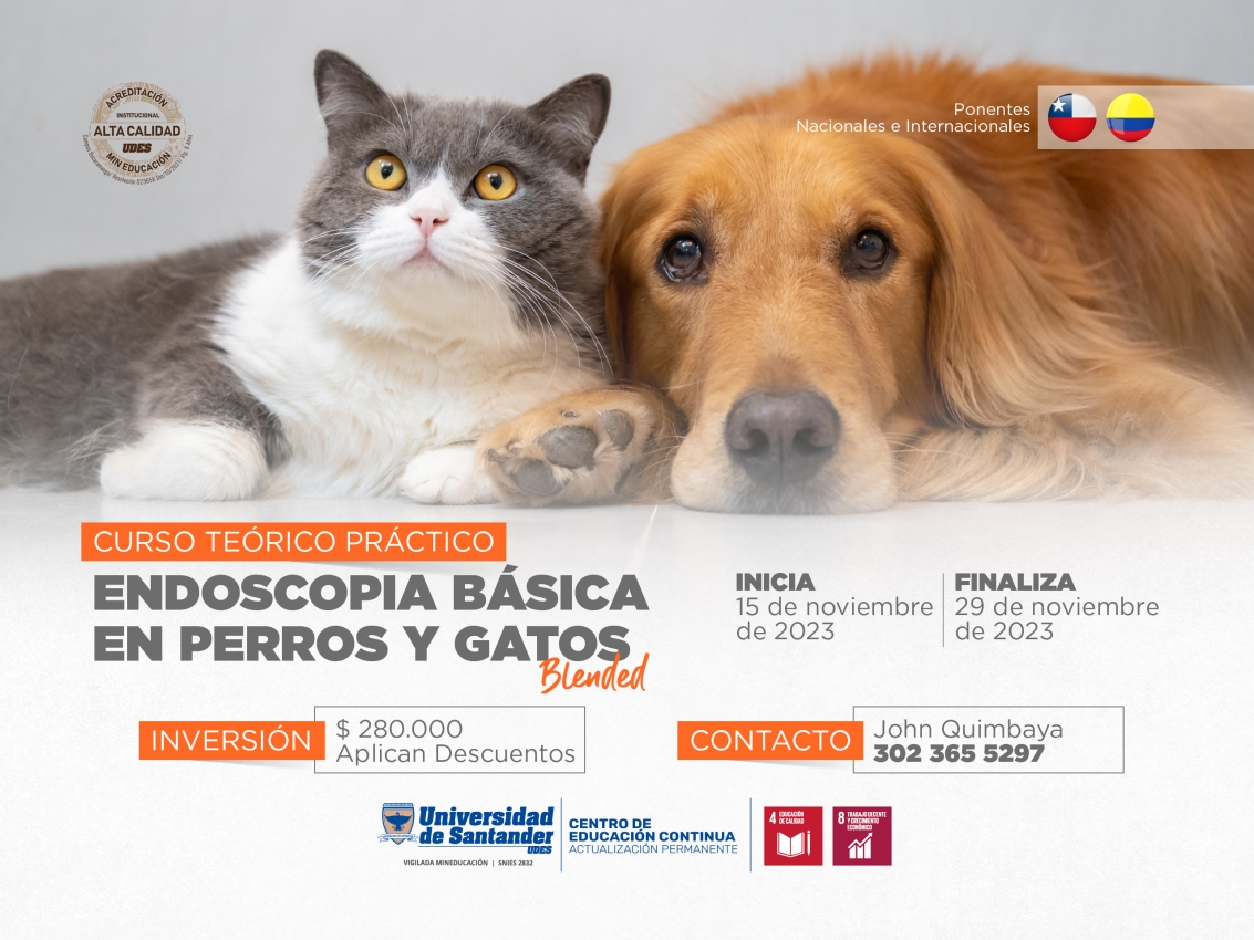 Curso teórico práctico de Endoscopia Básica en Perros y Gatos