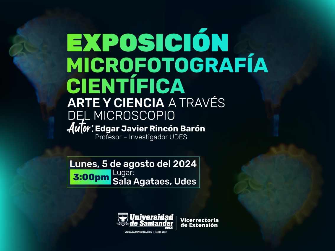 Exposición microfotografía científica 'Arte y ciencia a través del microscopio'