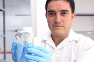 Estamos trabajando en la propagación de orquídeas en vía de extinción