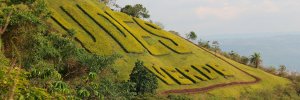 Deja tu huella en el sendero UDES Verde, este 28 de agosto