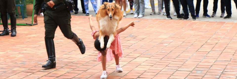 Fotos: Las mascotas conquistaron nuestros corazones en la Semana del Veterinario UDES