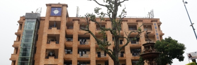 Autoridad ambiental avaló la poda del árbol caracolí de la UDES