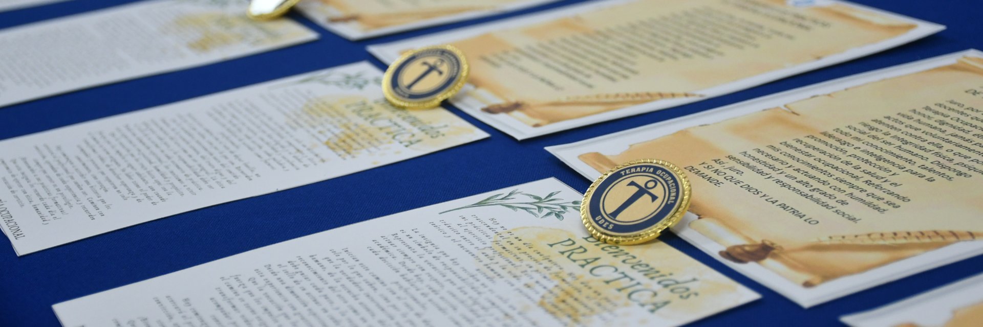 UDES Cúcuta alcanza reconocimiento internacional: Programa de Terapia Ocupacional es reaprobado por Federación Mundial de Terapeutas Ocupacionales