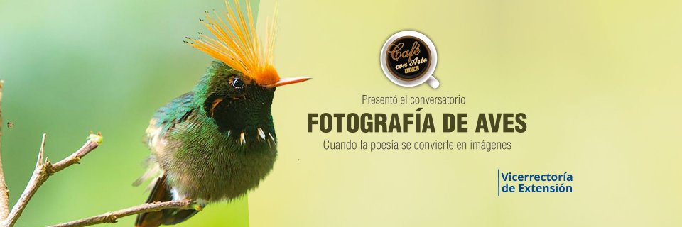 Café con Arte virtual sobre fotografía de aves