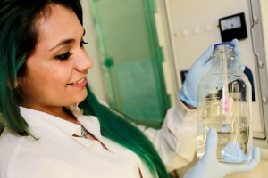 Desarrollo de tecnología no contaminante, para el control de calidad microbiológica en la producción de hongos comestibles, adelanta grupo de la Universidad de Santander