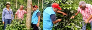 La UDES comprometida con los productores de café de Toledo