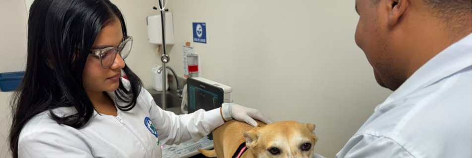 La experiencia de Carol Daniela Portela Guerra en la Cl&iacute;nica Veterinaria UDES