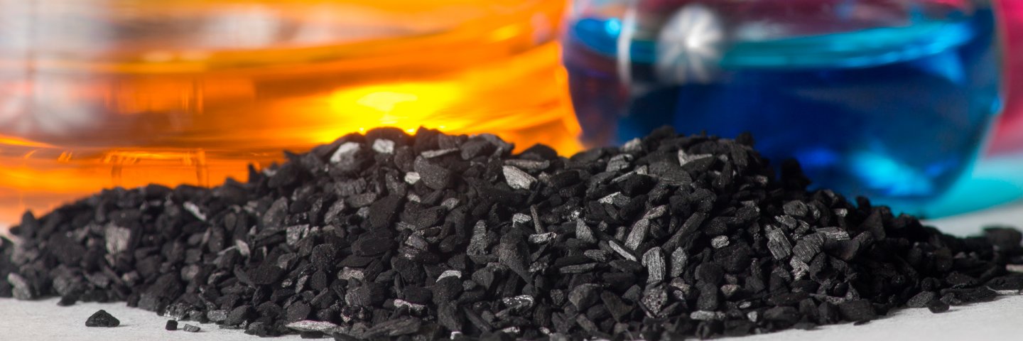 UDES e INAL obtienen carbón activado a partir de biomasa residual de cáscara de nuez de palma de aceite