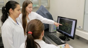 La Universidad de Santander - UDES planea y desarrolla acciones entorno al  “Fomento de la Cultura del Emprendimiento y la Innovación”
