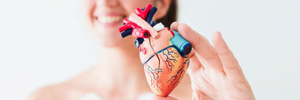Recomendaciones para el cuidado de la salud cardiovascular: enseñanzas del estudio PURE