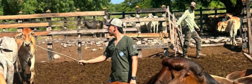 De las aulas al campo: estudiante de Medicina Veterinaria y Zootecnia apoya a productores ganaderos desde FEDEG&Aacute;N
