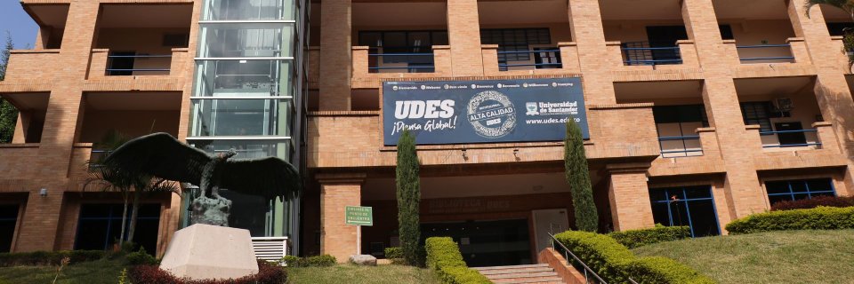 Comisión Interamericana de Derechos Humanos CIDH otorga medidas para proteger a joven con discapacidad en Bucaramanga: UDES