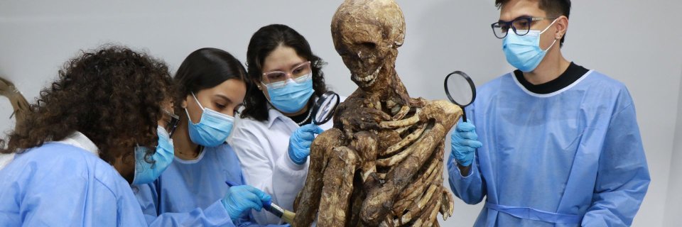 ¿Eres estudiante de grado 11? Inscríbete a los Semilleros de Experiencia de la UDES