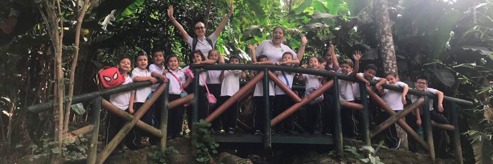 UDES genera conciencia verde en niños de Bucaramanga