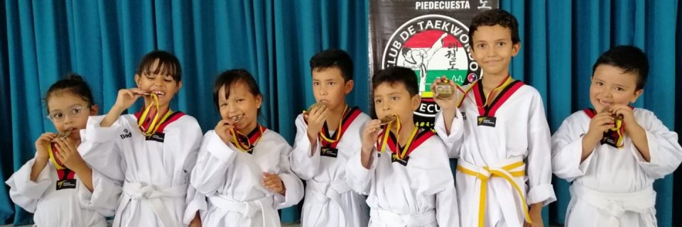 Semillero de Taekwondo UDES, campeón municipal