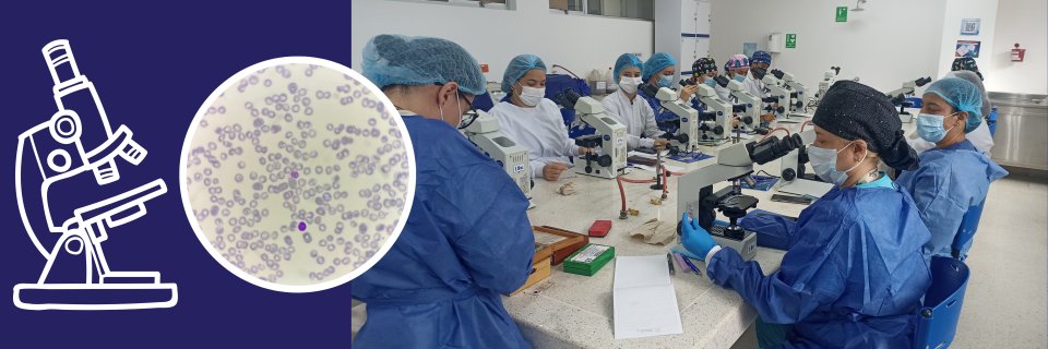 UDES Cúcuta actualiza en tratamiento y prevención de Hemoparásitos, los agentes patógenos que viven en la sangre