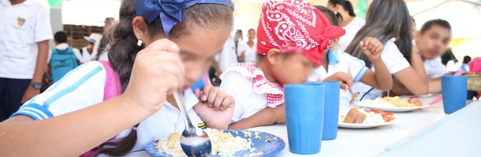 “A los Programas de Alimentación Escolar en Colombia (PAE), les hace falta investigación”: Rector UDES
