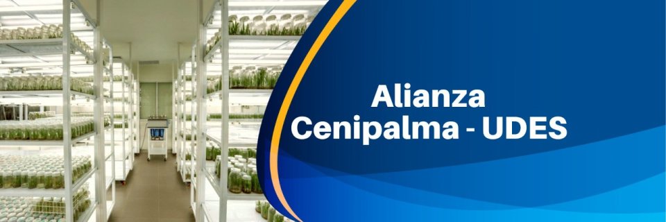 UDES realizó visita al campo experimental La Vizcaína de CENIPALMA con el fin de afianzar su alianza