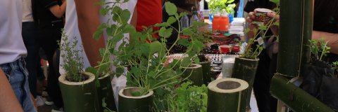 ‘UDES Verde’ uno de los protagonistas en el ‘De Regreso al Mundo UDES’