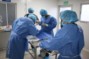 De la teoría a la práctica estudiantes de Medicina Veterinaria y Zootecnia