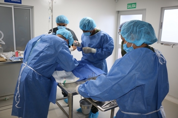 De la teoría a la práctica estudiantes de Medicina Veterinaria y Zootecnia
