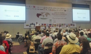 Ante 38 países, Programa de Medicina Veterinaria expone en congreso mundial