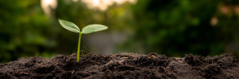 Innovación y compromiso ambiental: únete al II Foro Nacional Santander Carbono Neutro