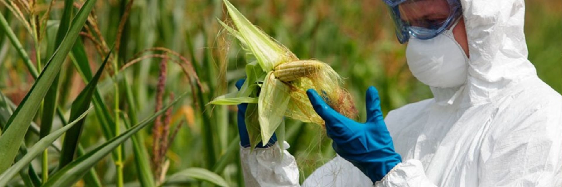 Orgullo UDES: Programa de Ingeniería Agroindustrial recibió la renovación de su registro calificado por siete años más