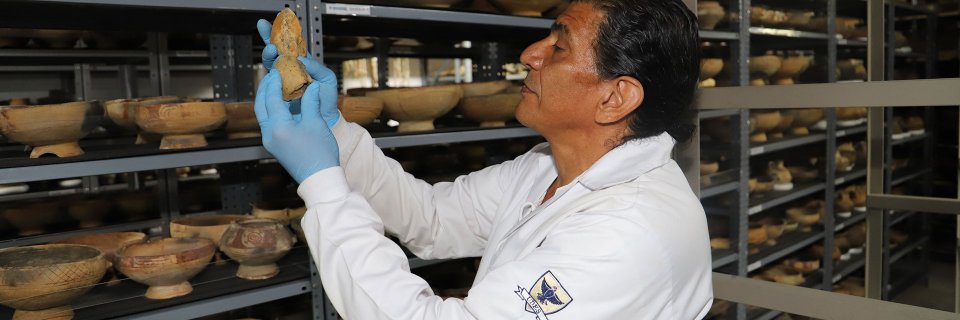 Nuevas piezas paleteológicas llegan al Museo de la UDES